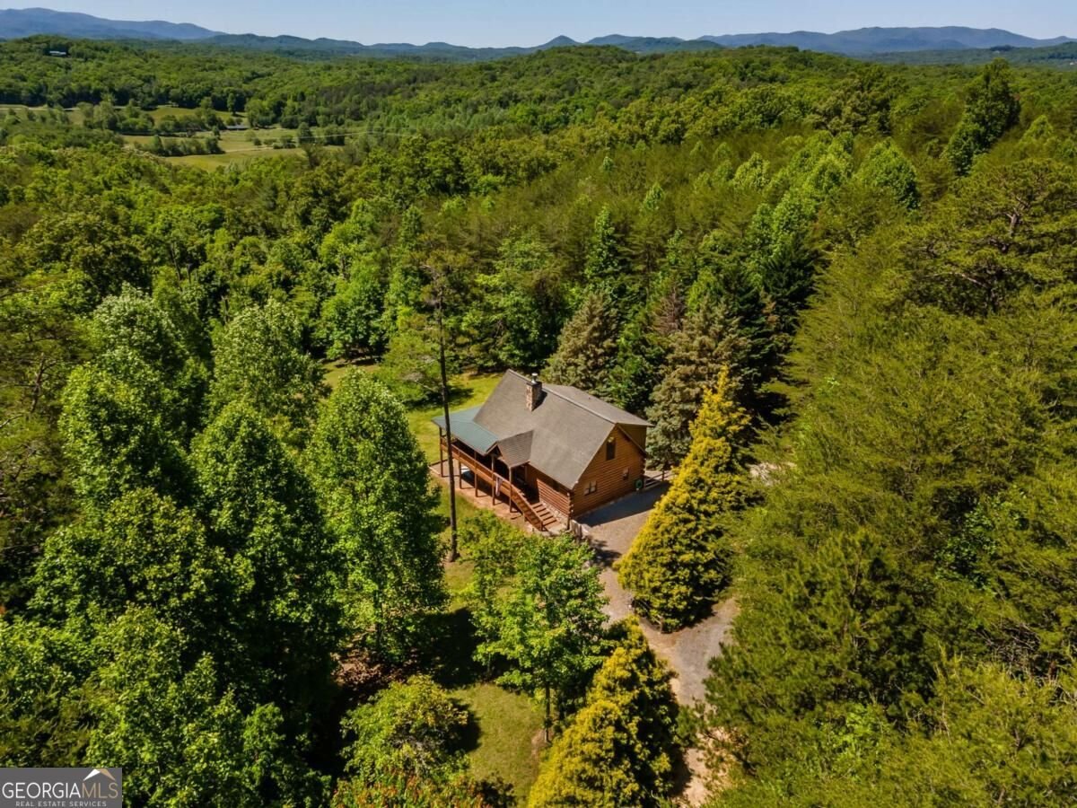 229 Old Mill Pond Road Mineral Bluff - Photo 62