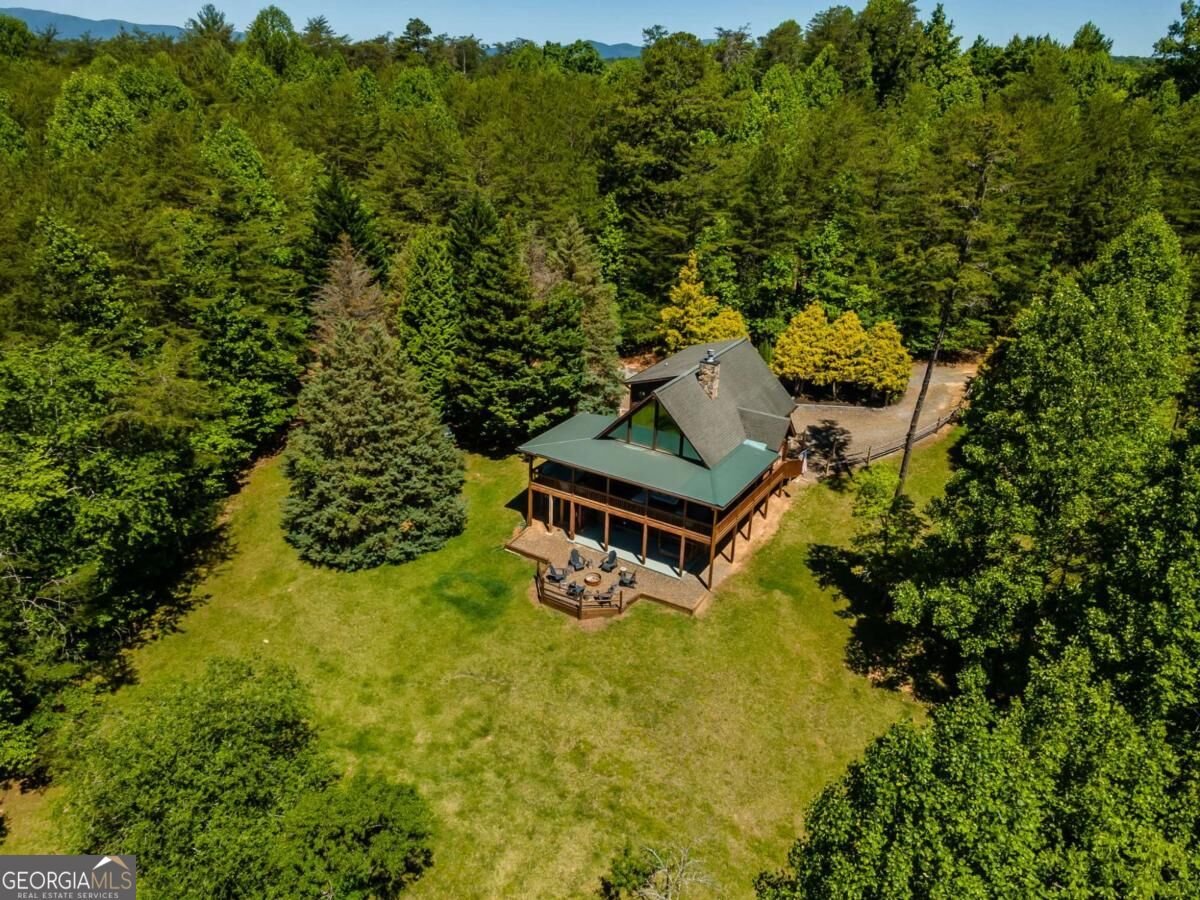 229 Old Mill Pond Road Mineral Bluff - Photo 63