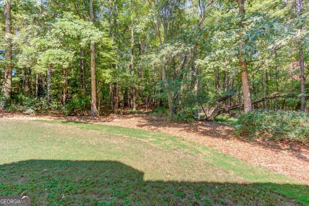4121 Holcomb Creek Drive Buford - Photo 47