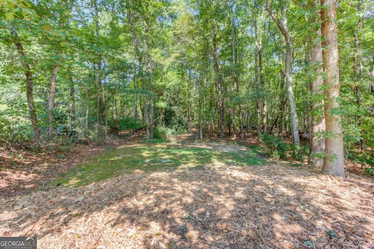 4121 Holcomb Creek Drive Buford - Photo 51