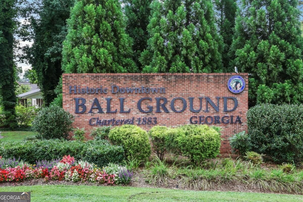144 Marble Tree Way Ball Ground - Photo 40