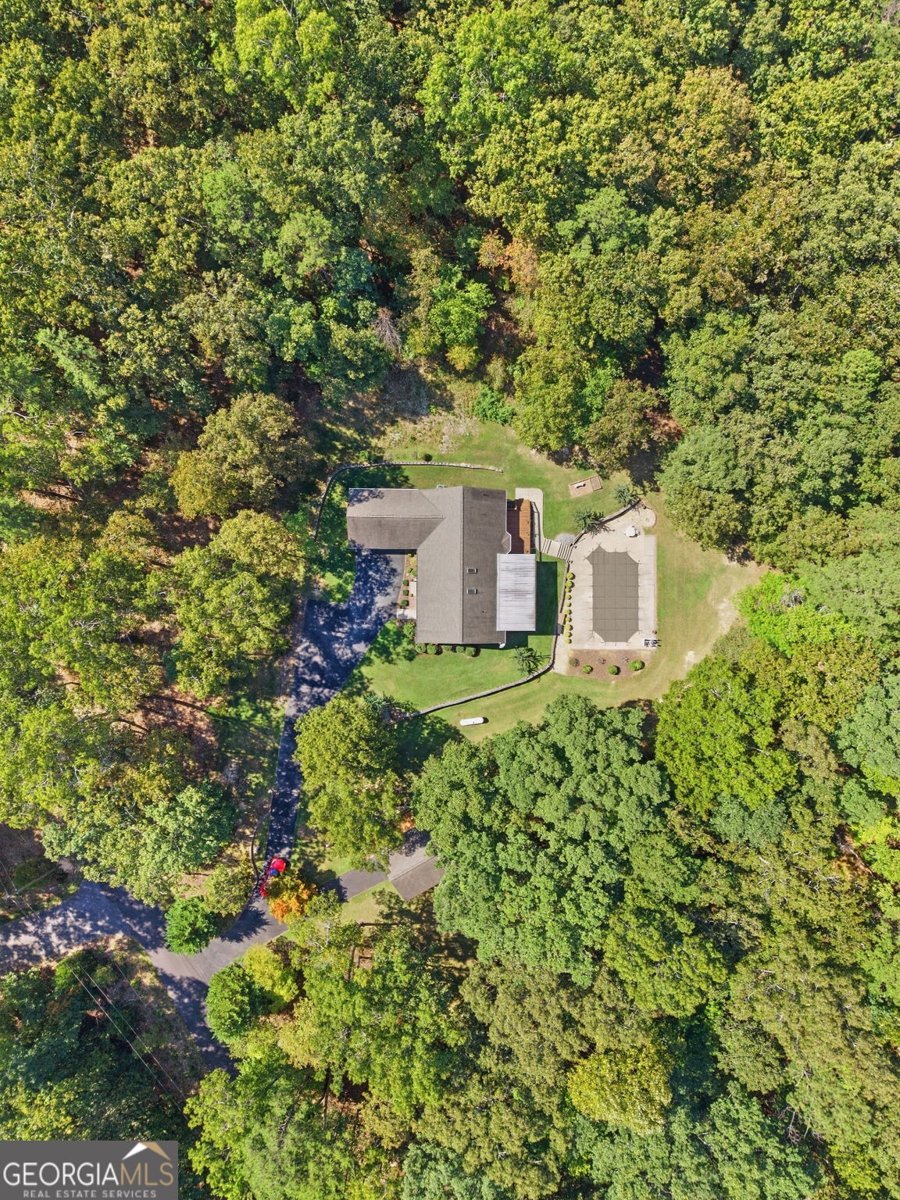 222 Stallion Drive Summerville - Photo 52