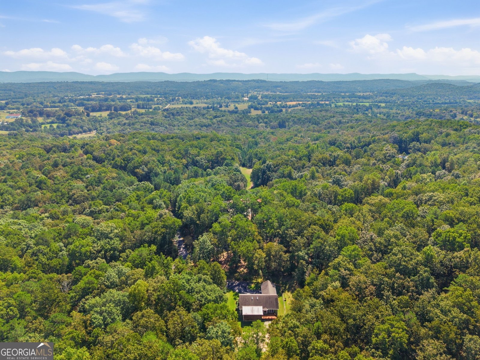222 Stallion Drive Summerville - Photo 53