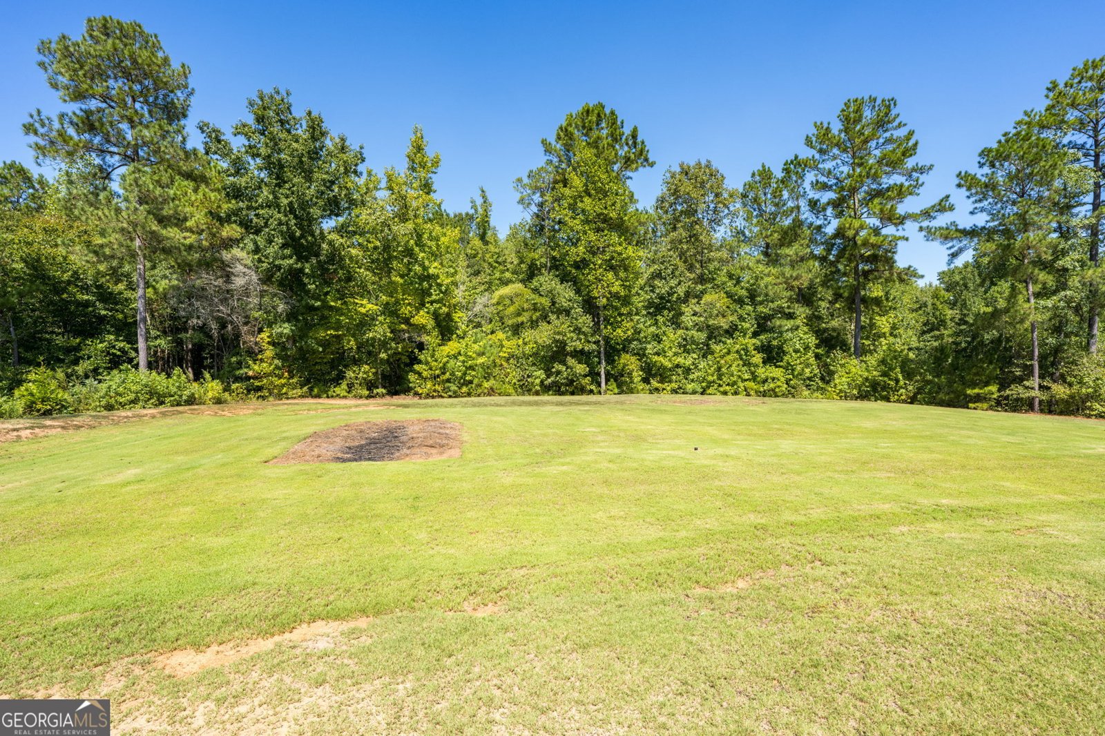 278 Creekside Trail Forsyth - Photo 33