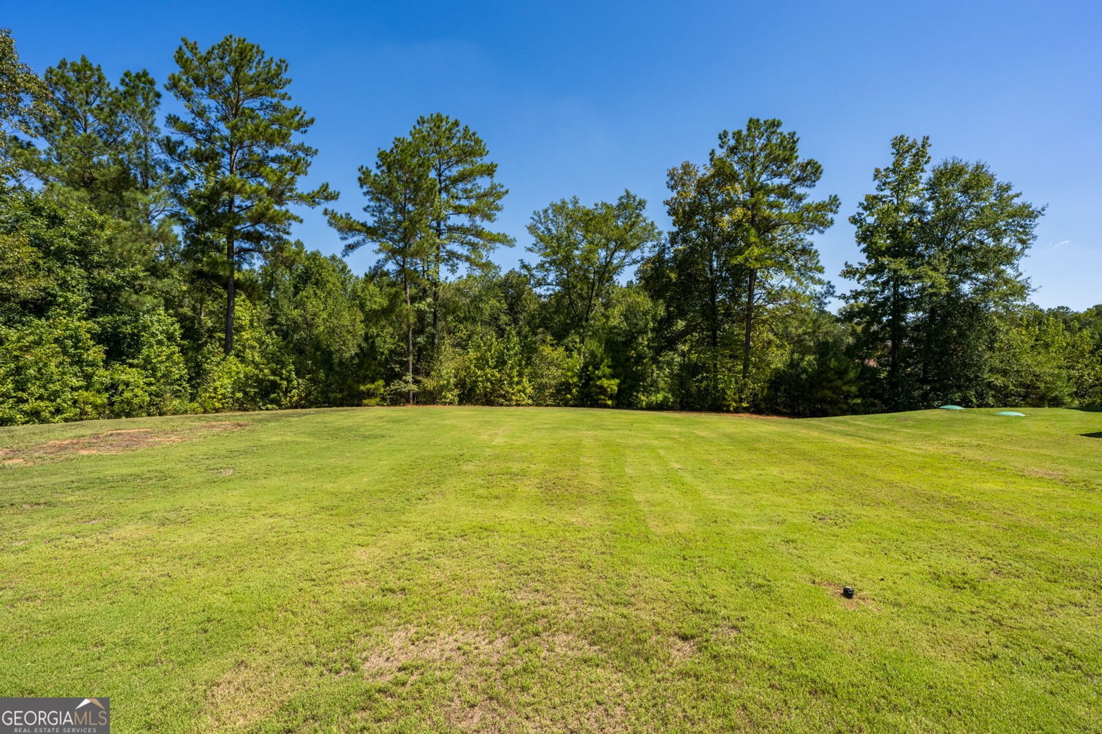 278 Creekside Trail Forsyth - Photo 35