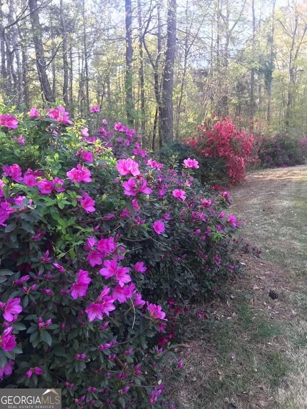 30 Tall Oak Trail Covington - Photo 81