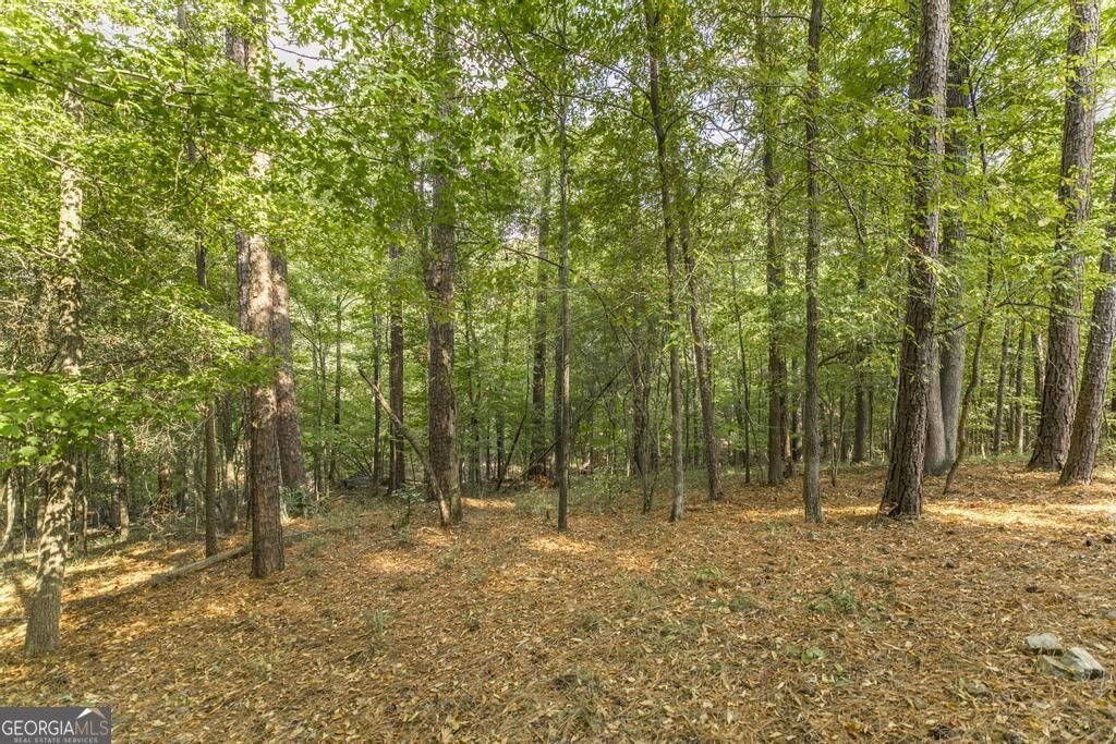 2203 Plantation Drive Macon - Photo 37