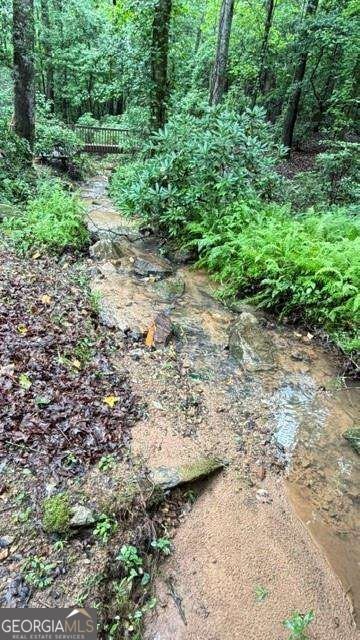 36 Mill Creek Trail Dahlonega - Photo 36