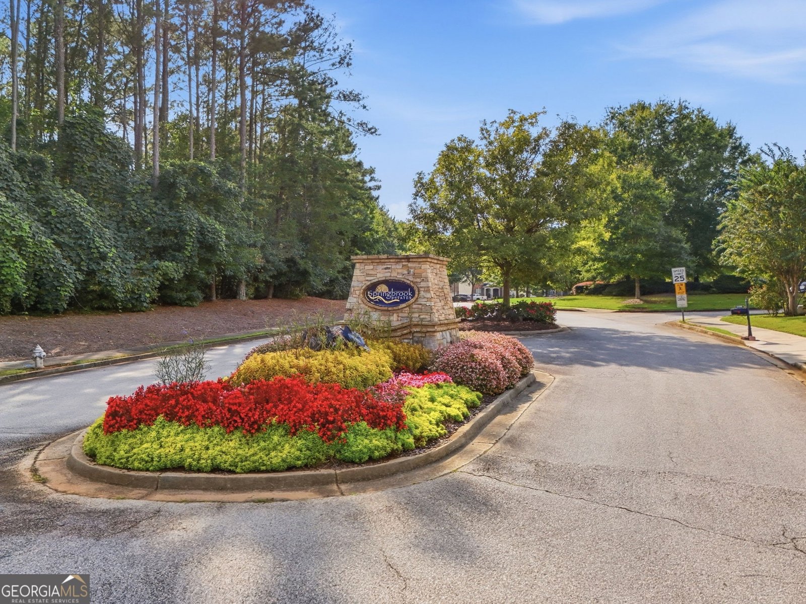 4509 Waterleaf Court Powder Springs - Photo 53