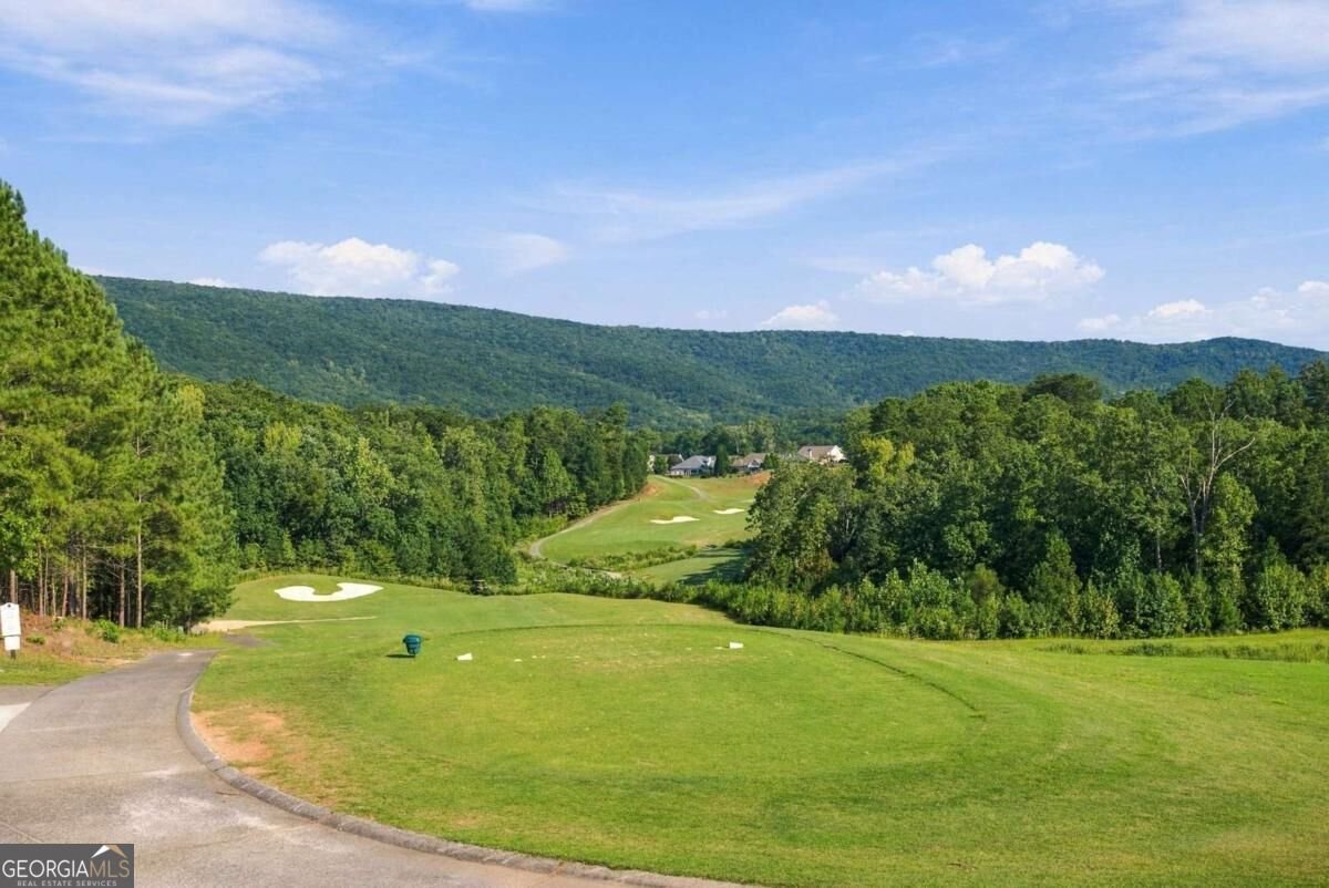 3024 Winding Ridge Waleska - Photo 71