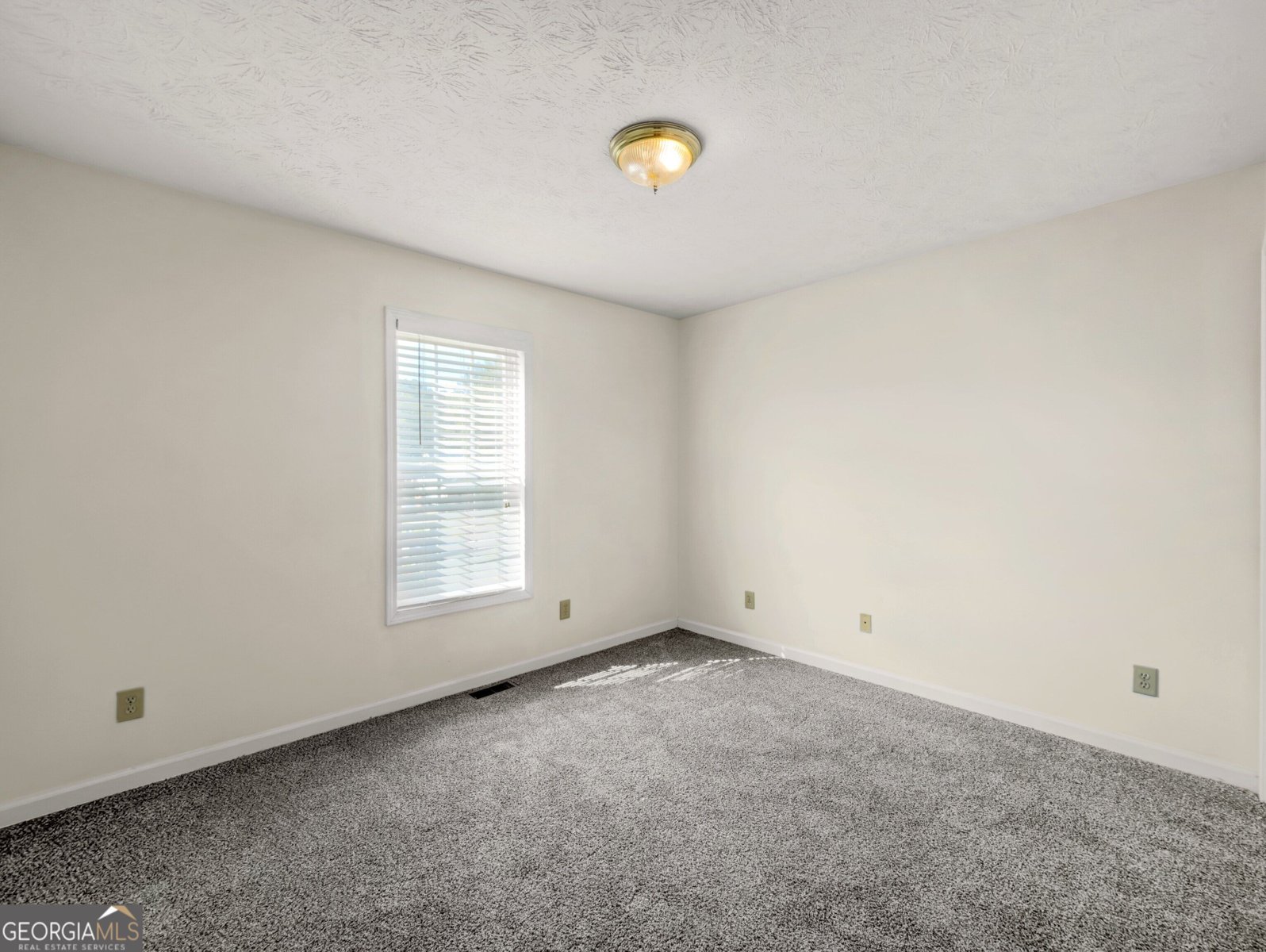 425 Freedom Drive McDonough - Photo 24