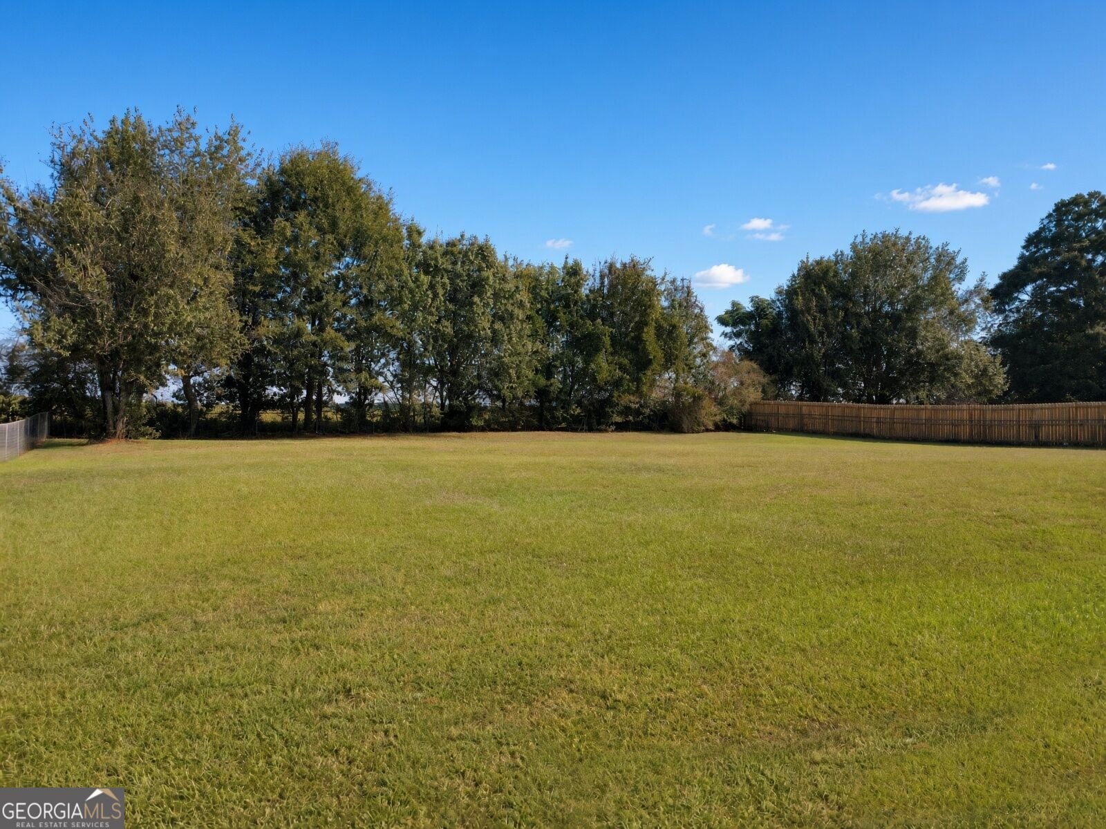 425 Freedom Drive McDonough - Photo 46