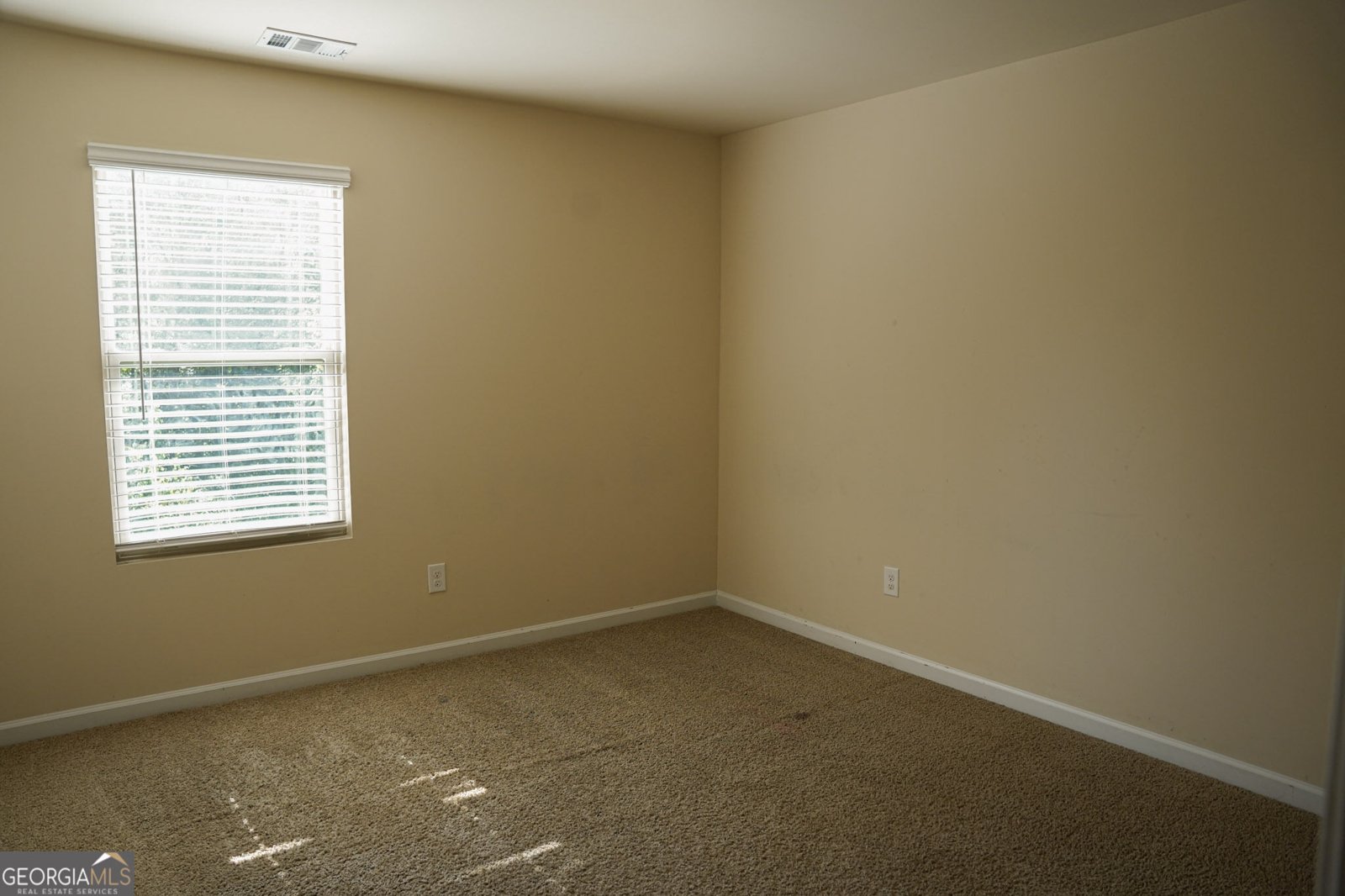 346 Maple Brook Drive Dawsonville - Photo 35