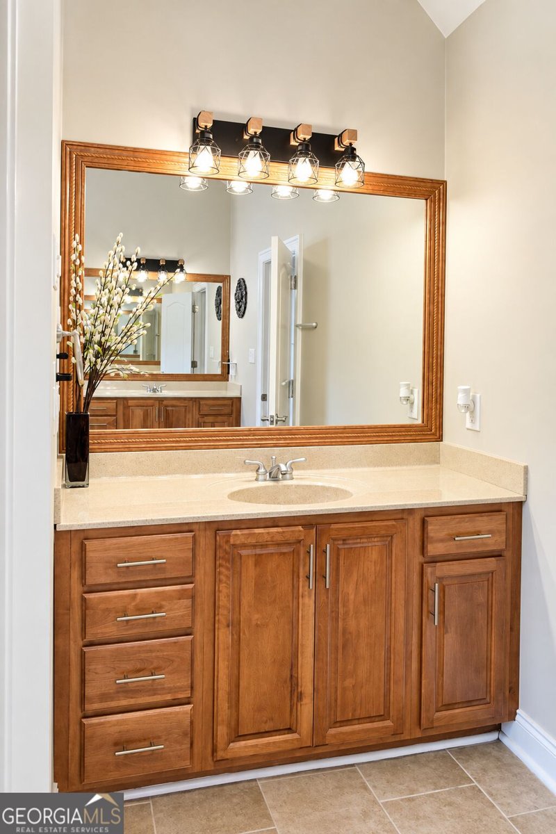 215 River Dance Way Tyrone - Photo 10