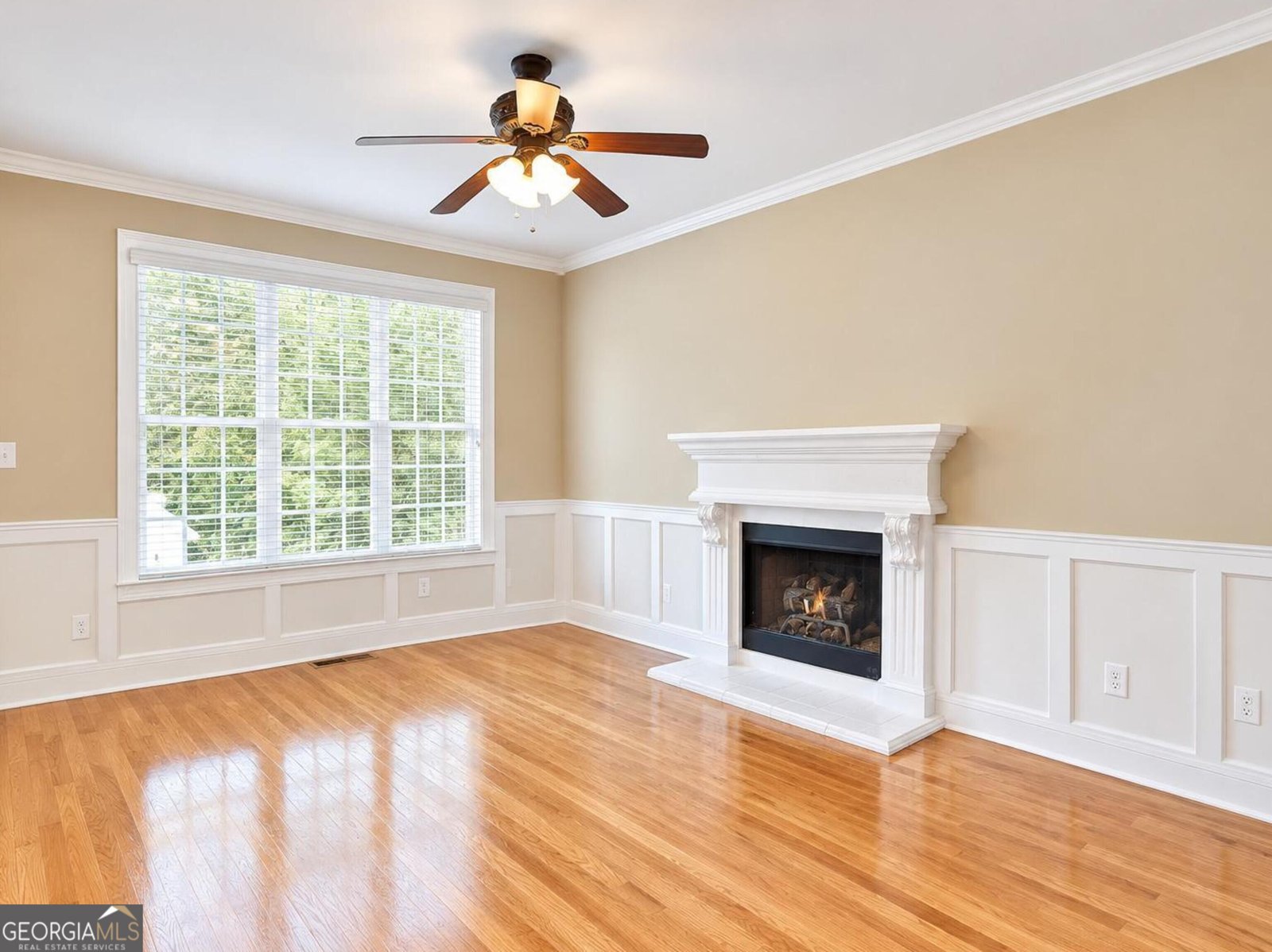 215 River Dance Way Tyrone - Photo 14