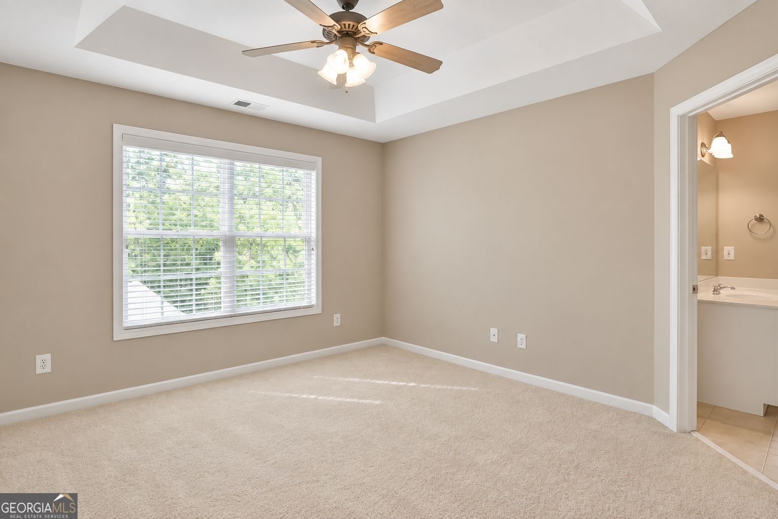 215 River Dance Way Tyrone - Photo 15
