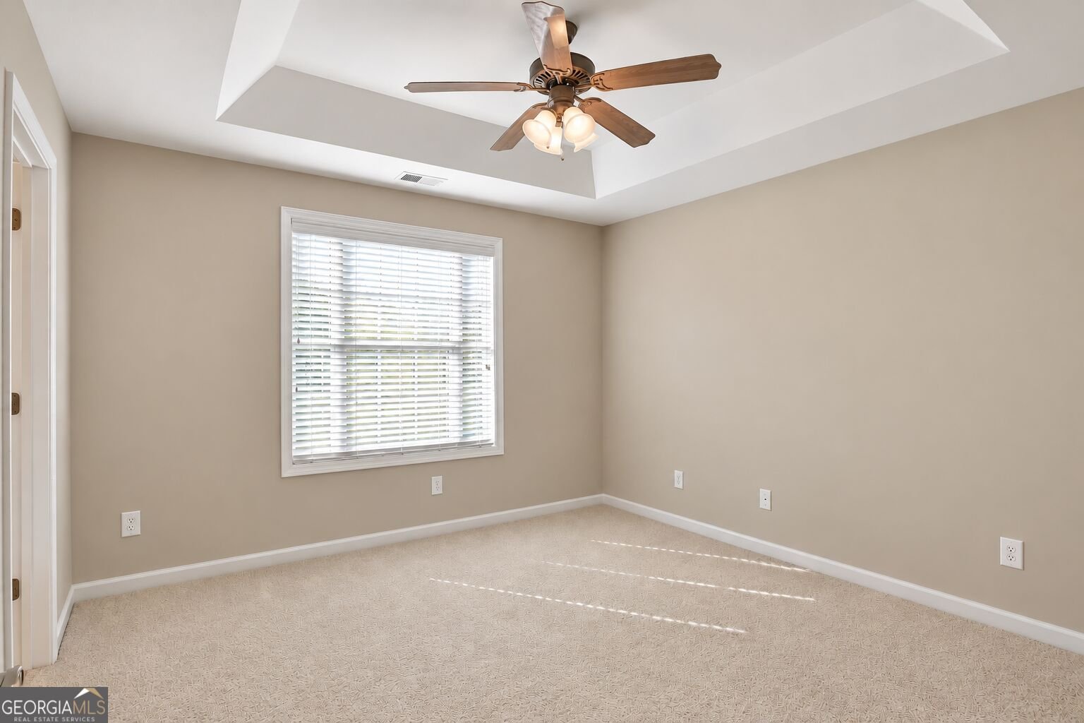 215 River Dance Way Tyrone - Photo 17