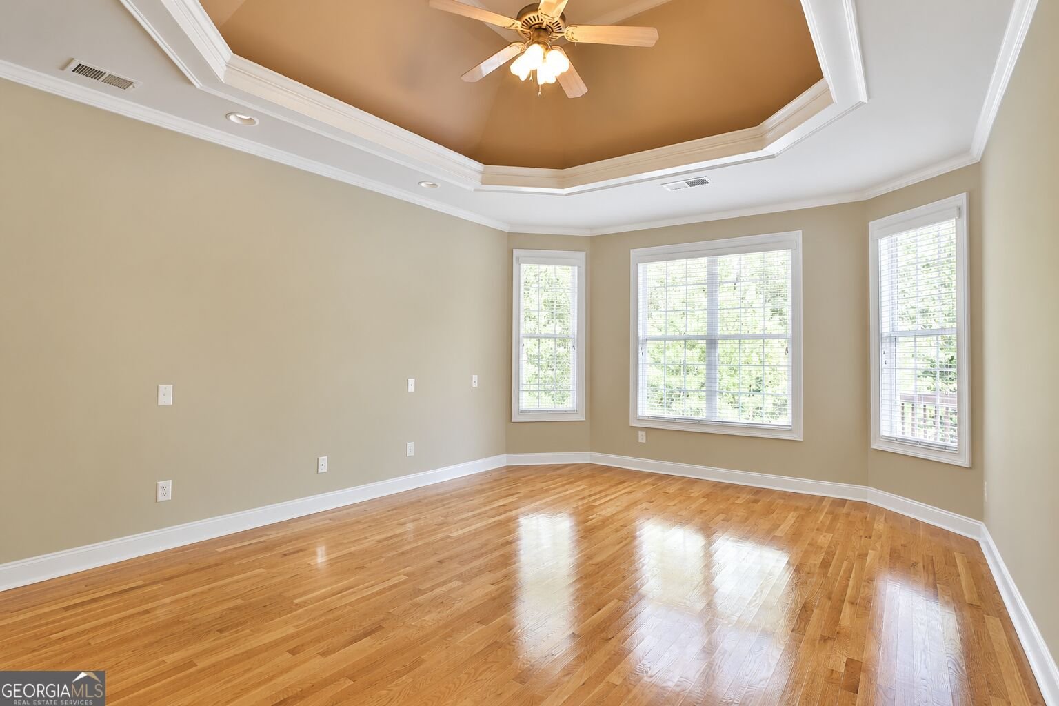 215 River Dance Way Tyrone - Photo 9