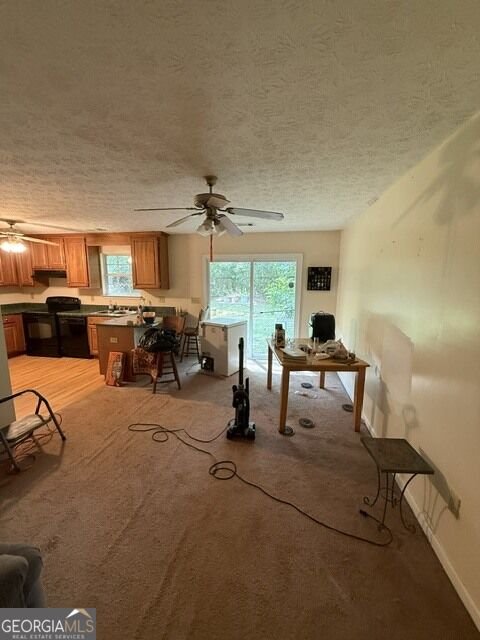66 Opal Street Luthersville - Photo 7