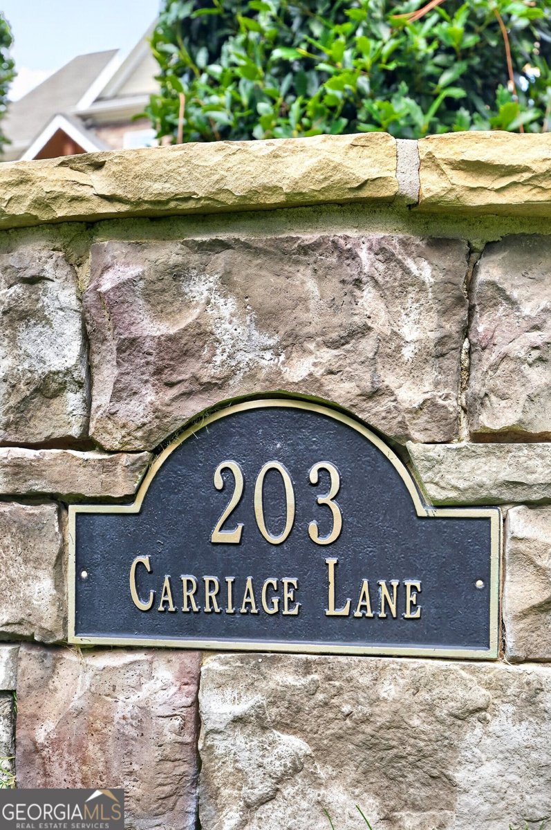 203 Carriage Lane Peachtree City - Photo 96