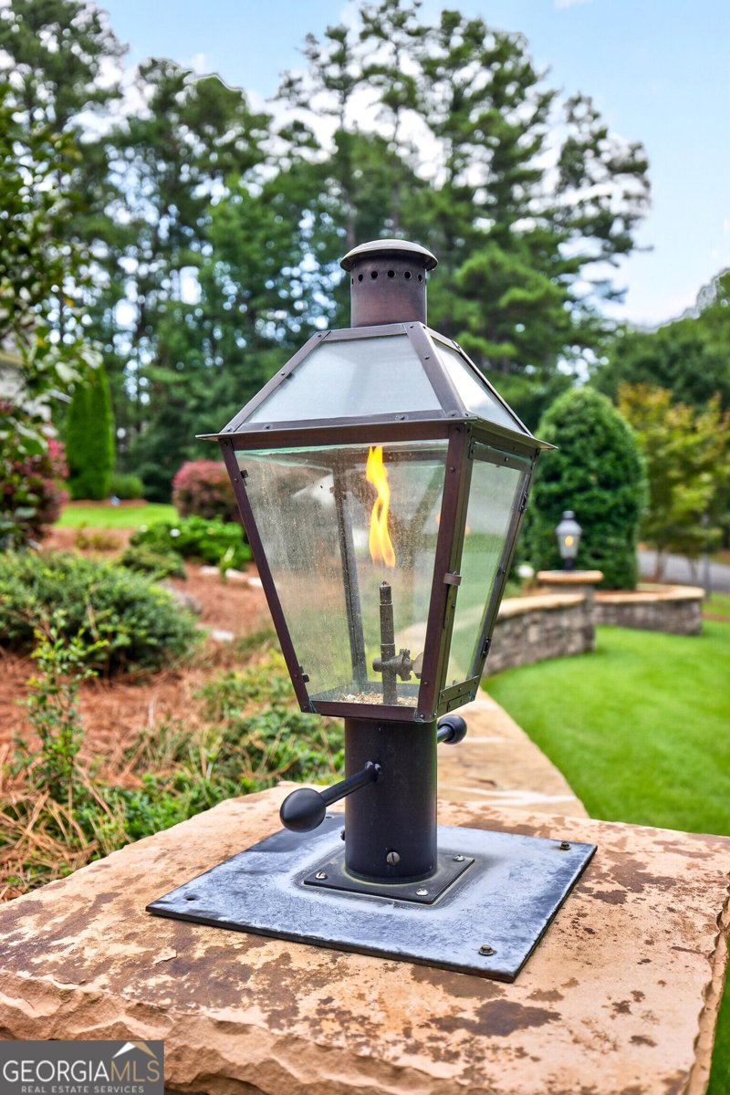 203 Carriage Lane Peachtree City - Photo 97