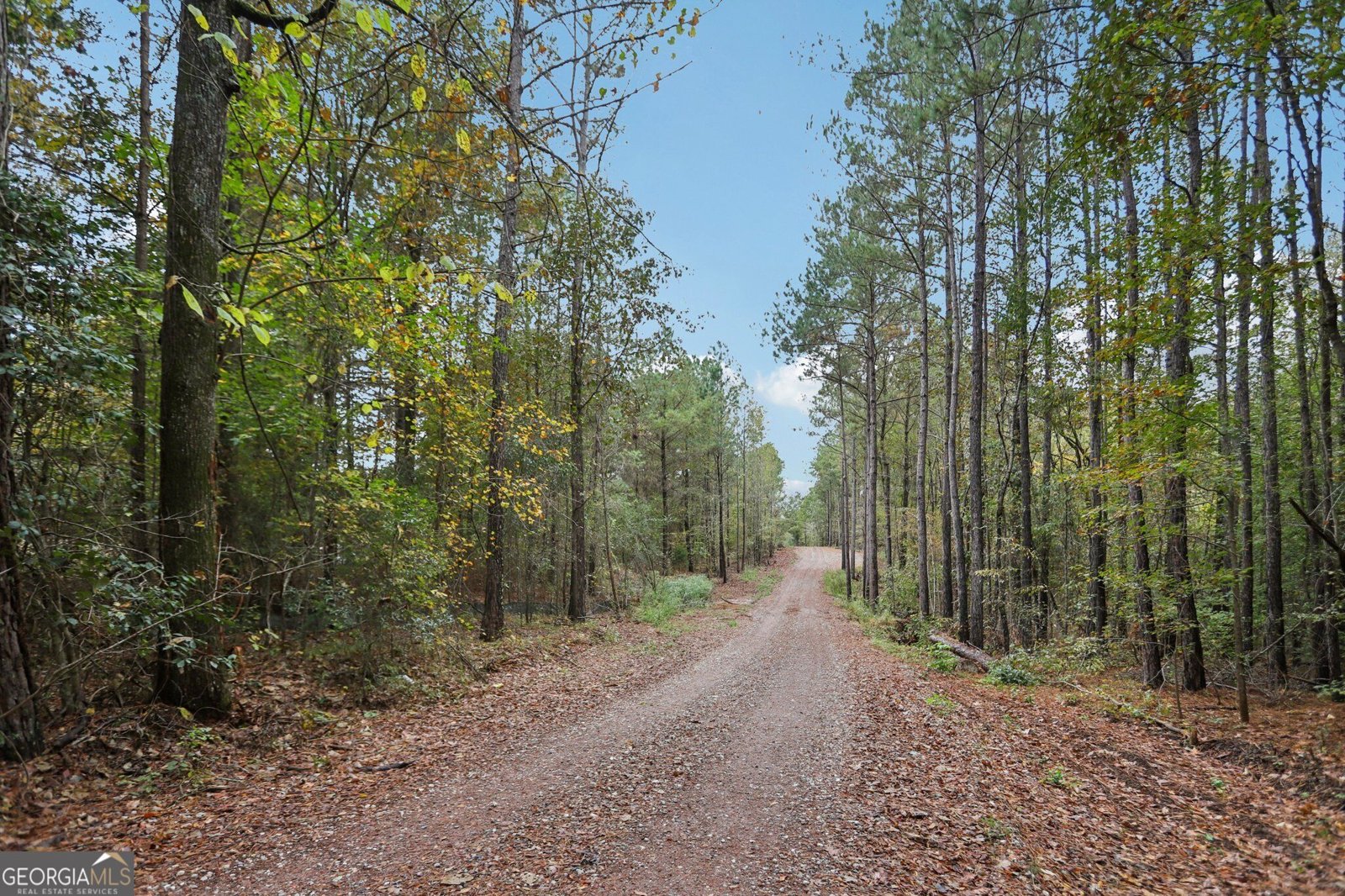 5467 Highway 162 Covington - Photo 15