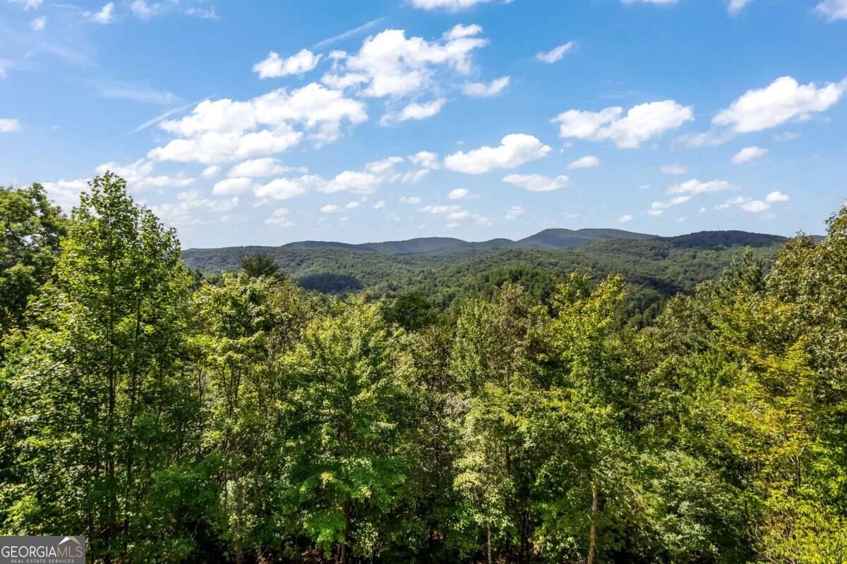 671 Stover Knob Trail Cherry Log - Photo 67