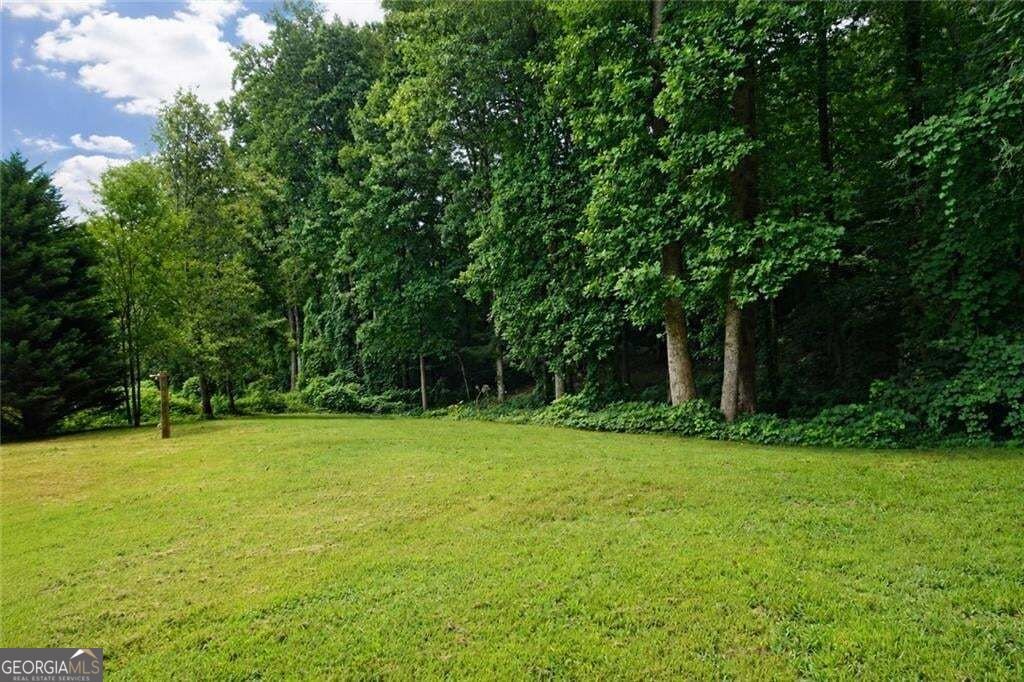 114 Waterbury Lane Braselton - Photo 34
