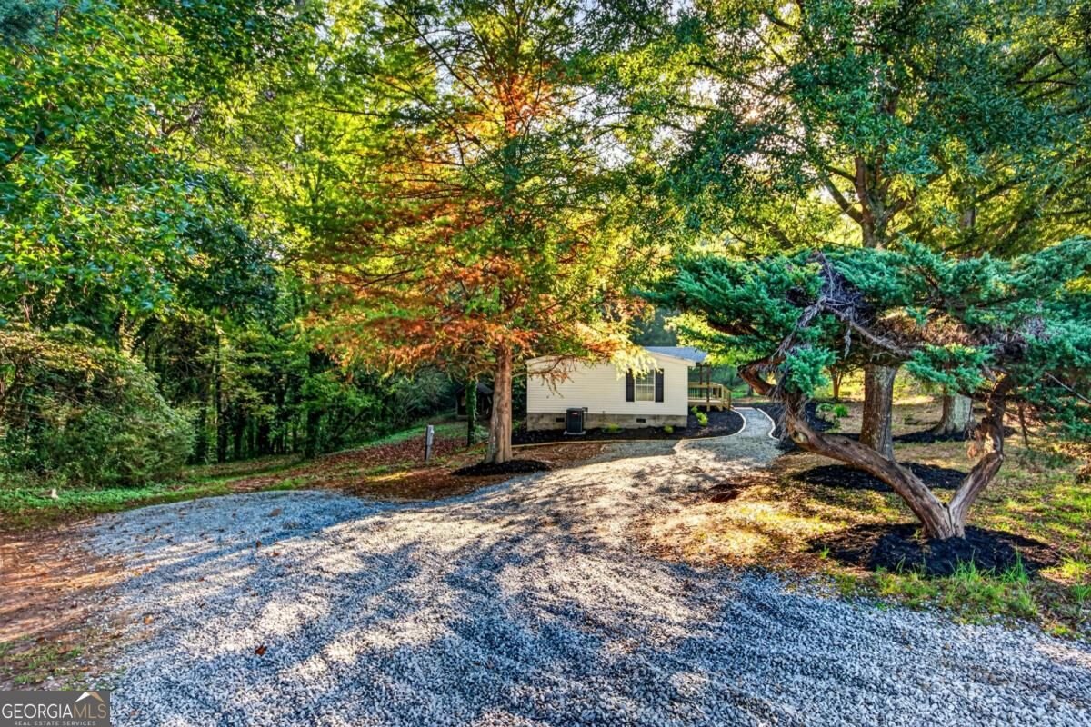 100 Salisbury Road Dahlonega - Photo 14