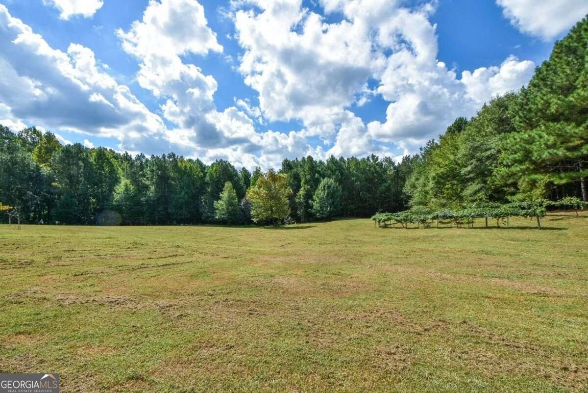 3600 Thompson Mill Road Buford - Photo 56