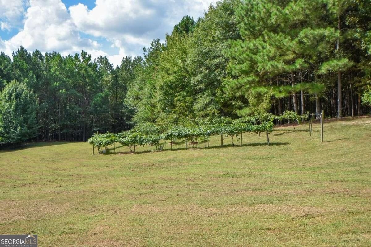 3600 Thompson Mill Road Buford - Photo 57