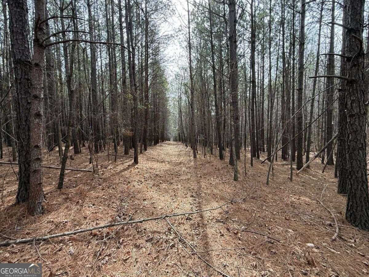 3600 Thompson Mill Road Buford - Photo 69