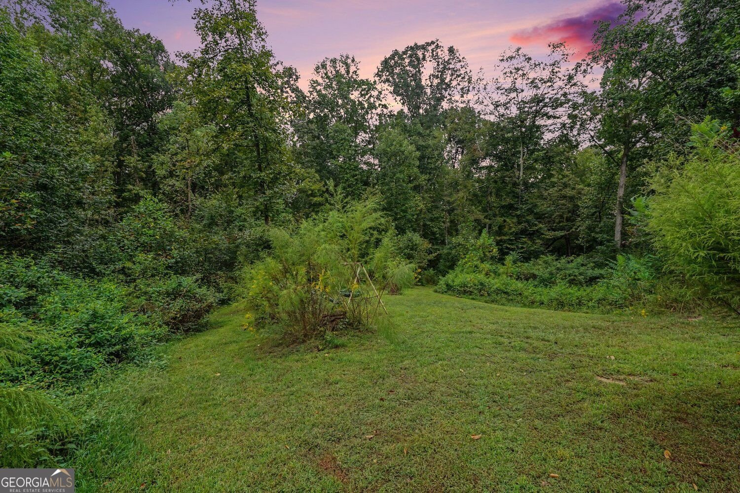 646 Ivy Creek Drive Nicholson - Photo 27