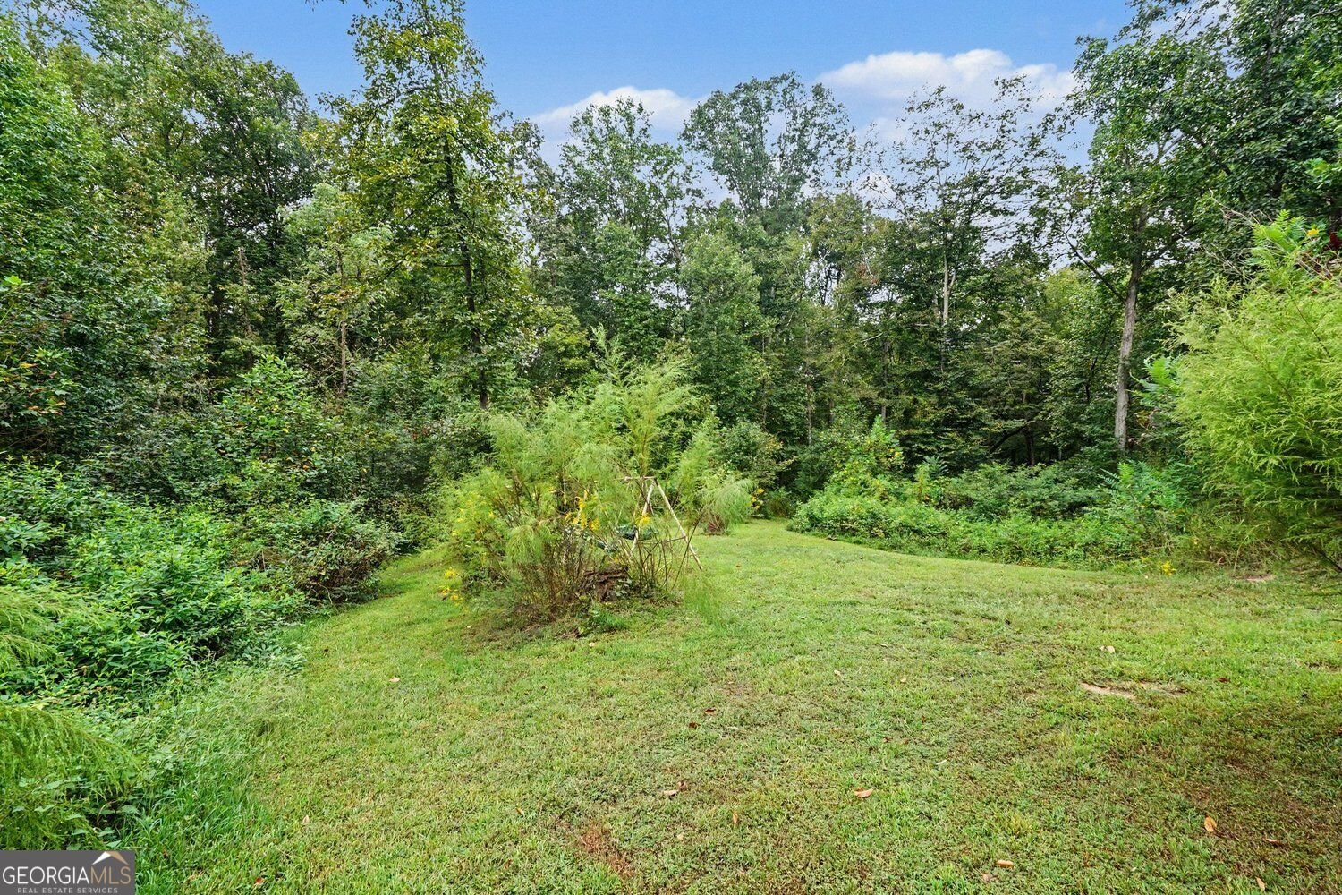 646 Ivy Creek Drive Nicholson - Photo 28