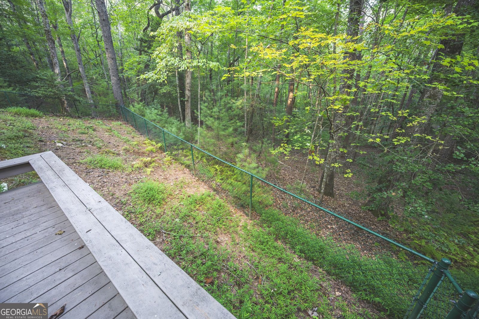 149 River Ridge Road Blue Ridge - Photo 50