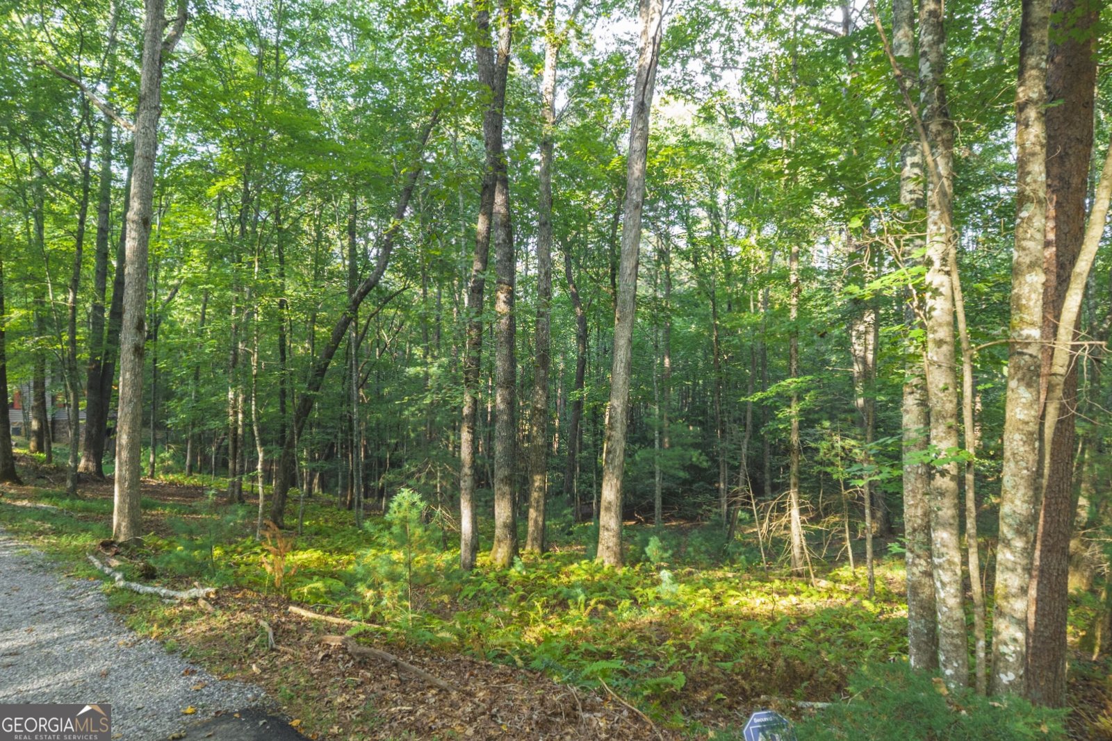 149 River Ridge Road Blue Ridge - Photo 68