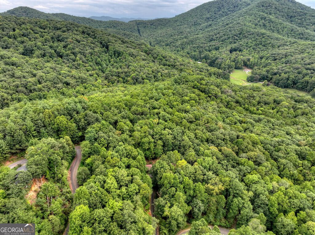 466 Hoot Owl Hill Morganton - Photo 16