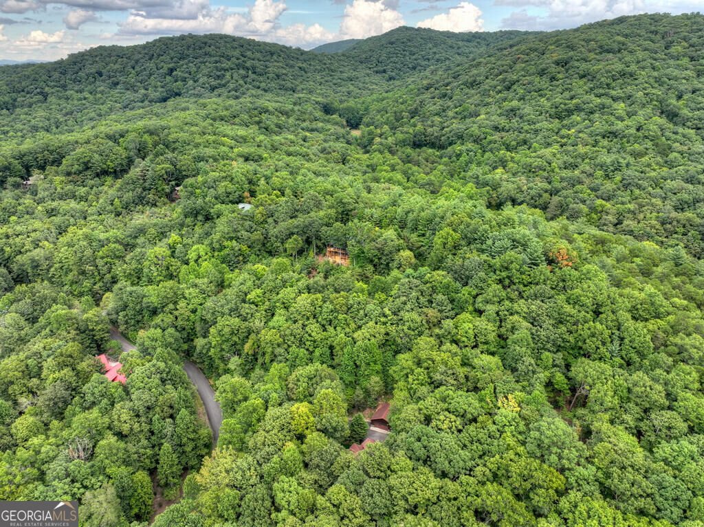 466 Hoot Owl Hill Morganton - Photo 24
