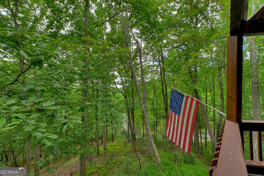 466 Hoot Owl Hill Morganton - Photo 36