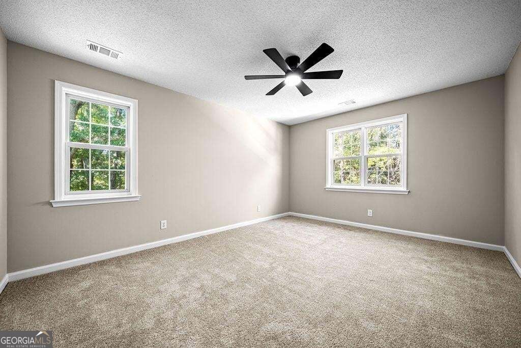 295 Highway 5 Roopville - Photo 29