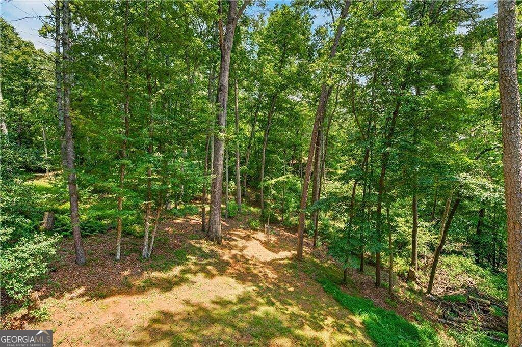 649 Power Dam Road Blue Ridge - Photo 35