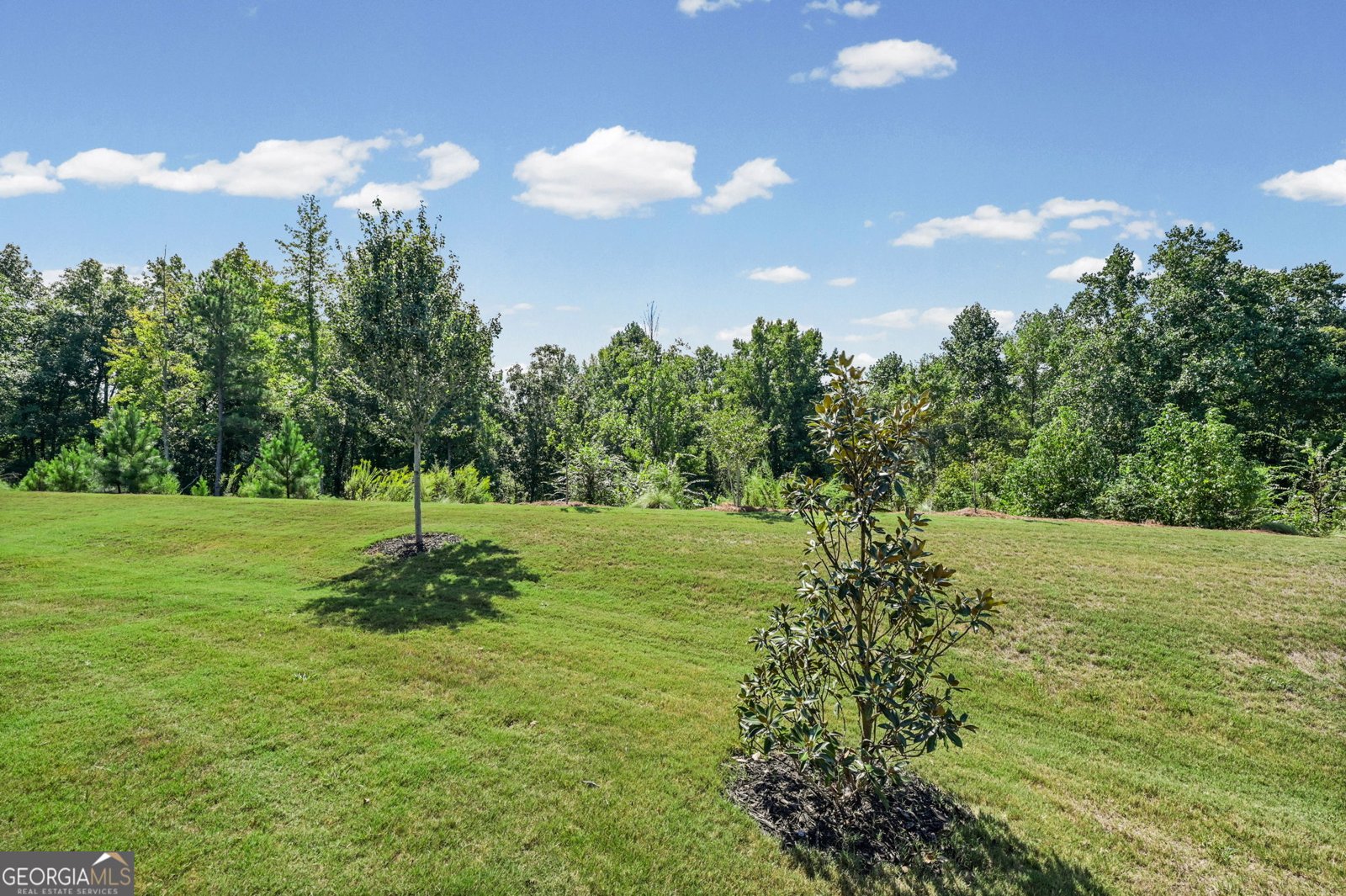 156 Alcovy Court Griffin - Photo 38
