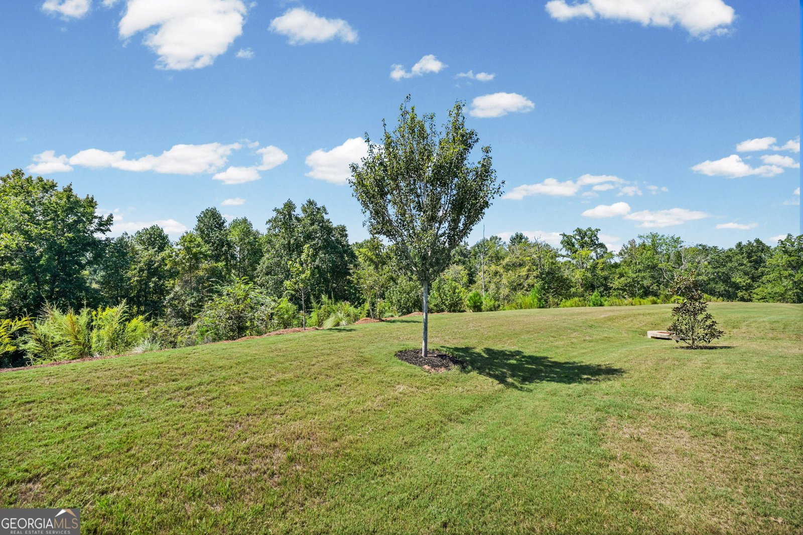 156 Alcovy Court Griffin - Photo 39