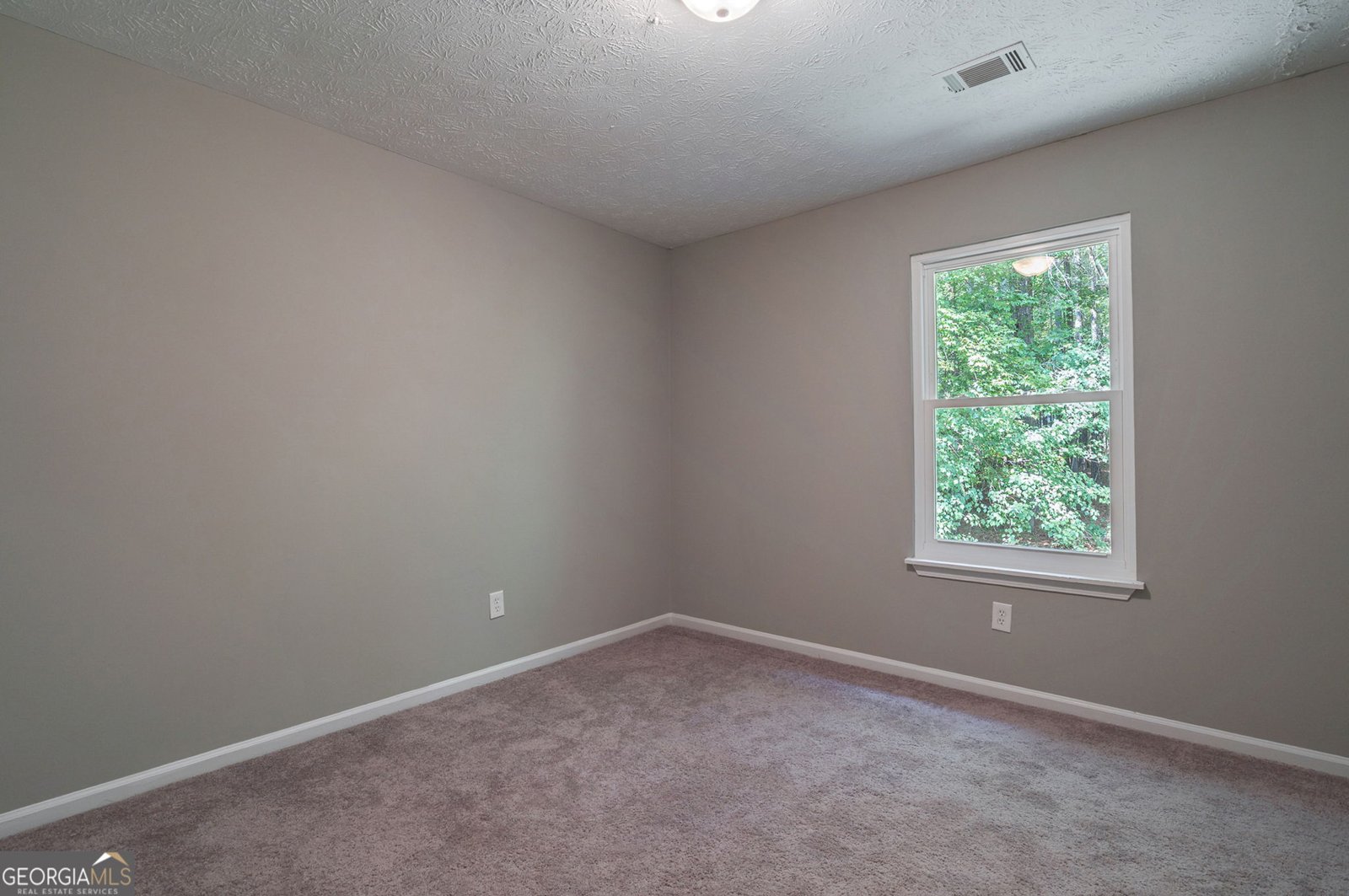 233 Buckhorn Drive Winder - Photo 28