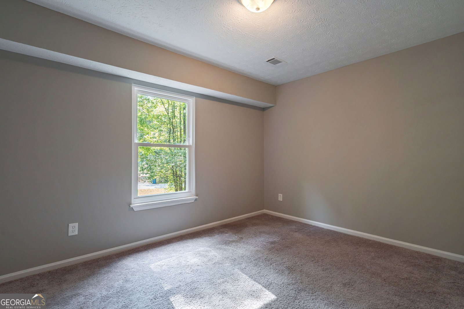 233 Buckhorn Drive Winder - Photo 31