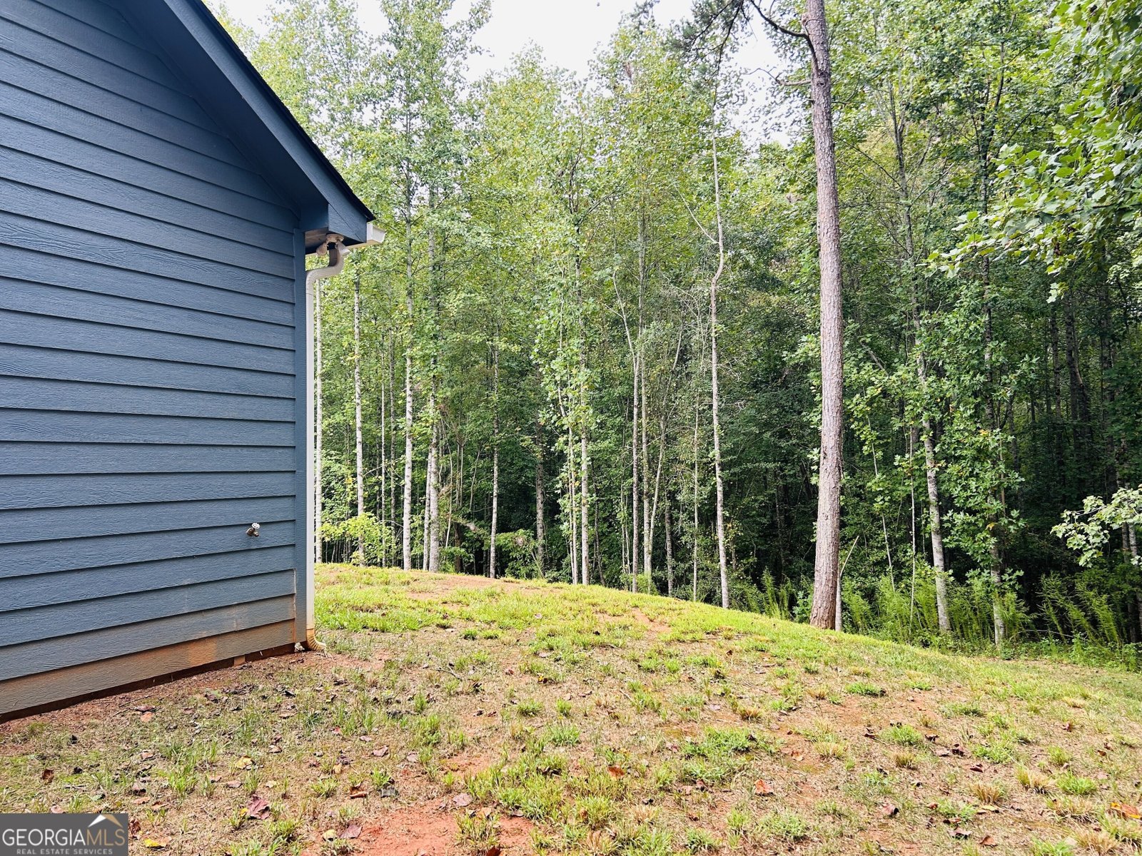 1027 Roberts Road Demorest - Photo 26