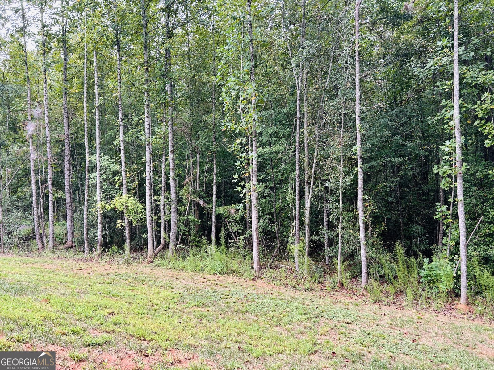 1027 Roberts Road Demorest - Photo 27
