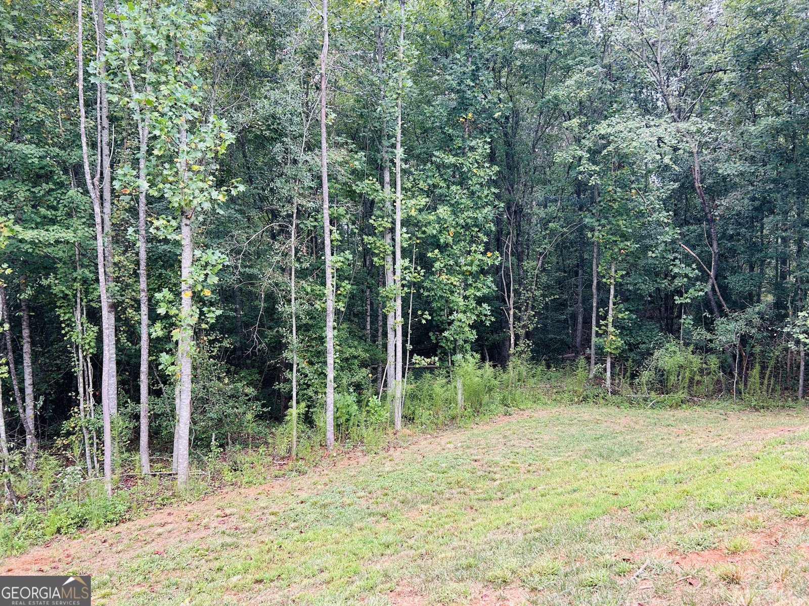 1027 Roberts Road Demorest - Photo 28
