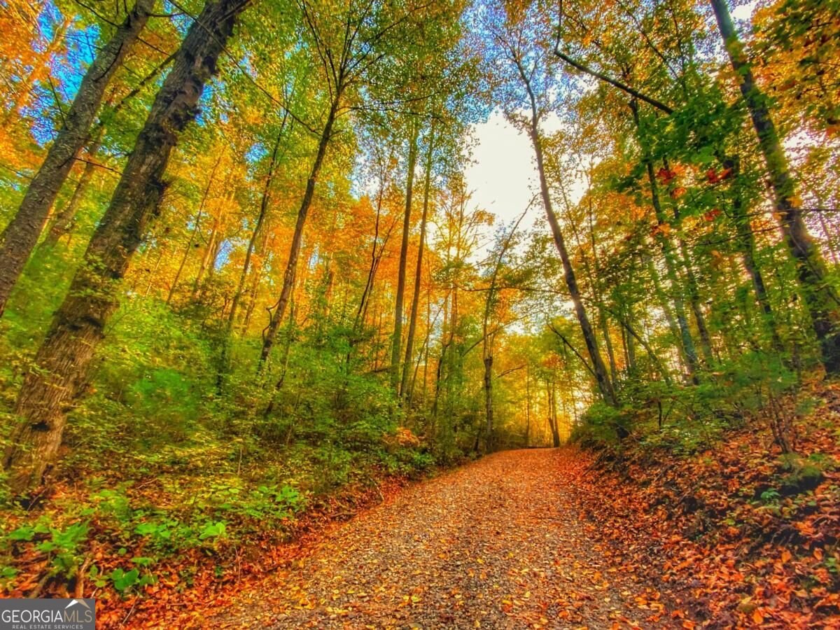 500 Big Sky Trail Dahlonega - Photo 49