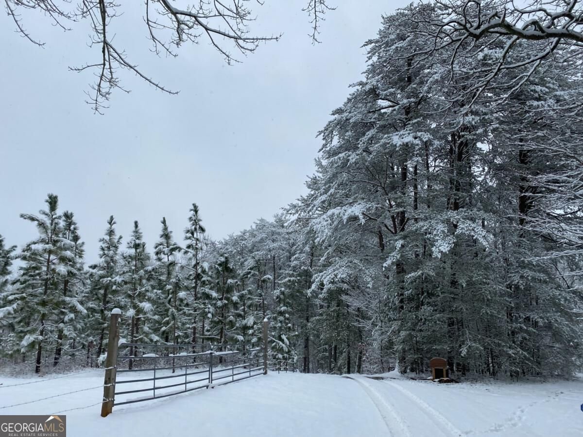 500 Big Sky Trail Dahlonega - Photo 50